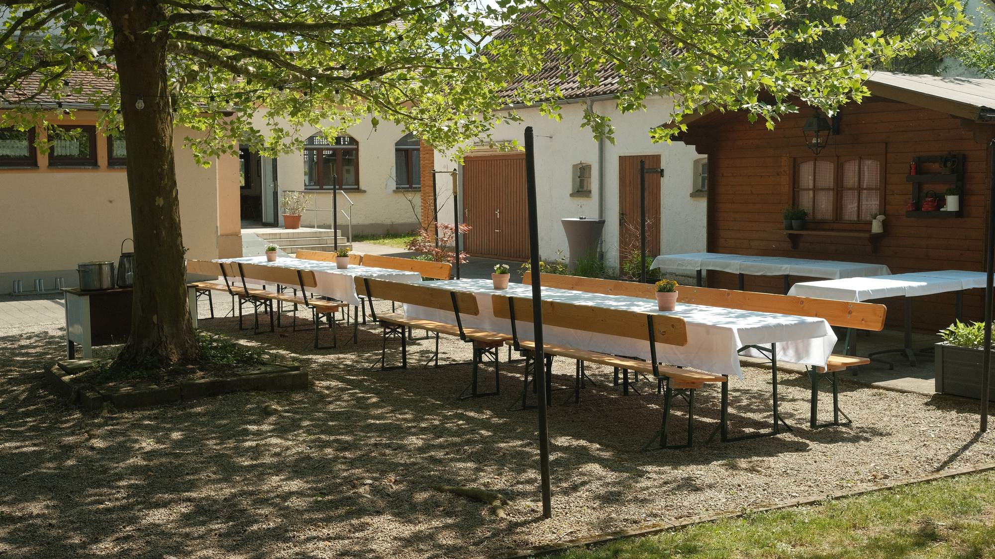Lange gedeckte Tafeln im Hof des EssEck unter einer alten Platane