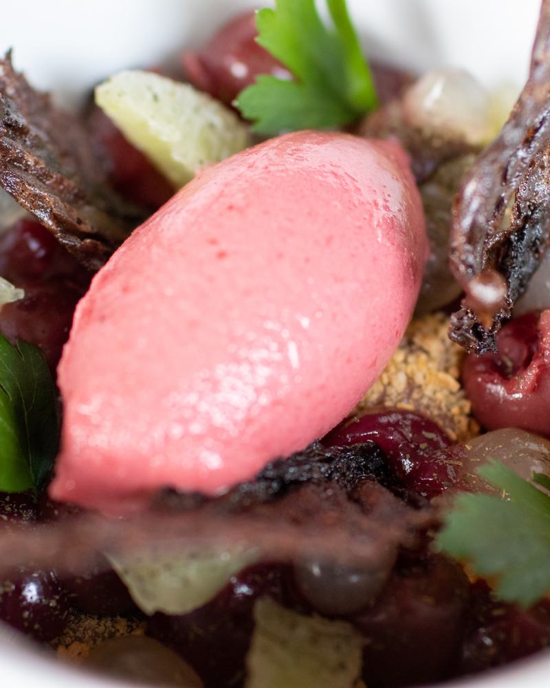Dessert mit Beerensorbet, Kirschen und Schokolade